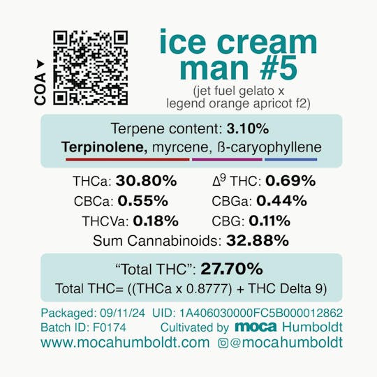 MOCA Humboldt - MOCA Flowers - 1/8th Jar - Ice Cream Man #5 - 1