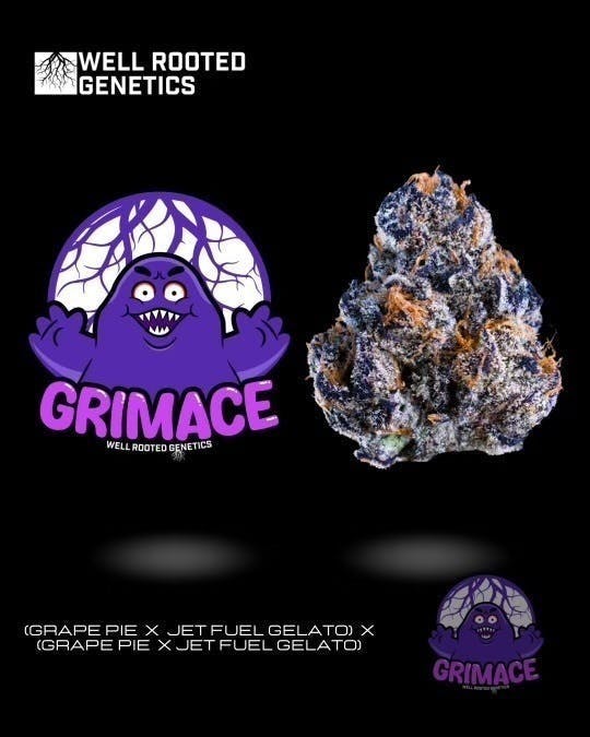 Well Rooted Genetics - Well Rooted Genetics | Grimace | Big Buds | 3.5g - 1