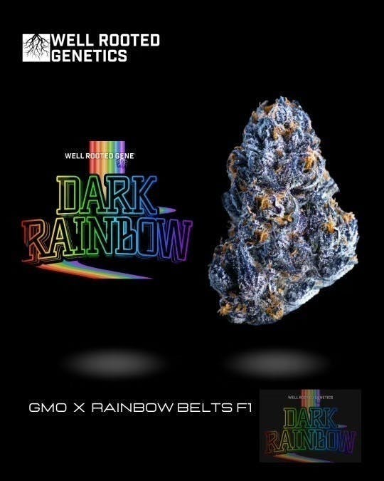 Well Rooted Genetics - Well Rooted Genetics | Dark Rainbow | Big Buds | 3.5g - 1