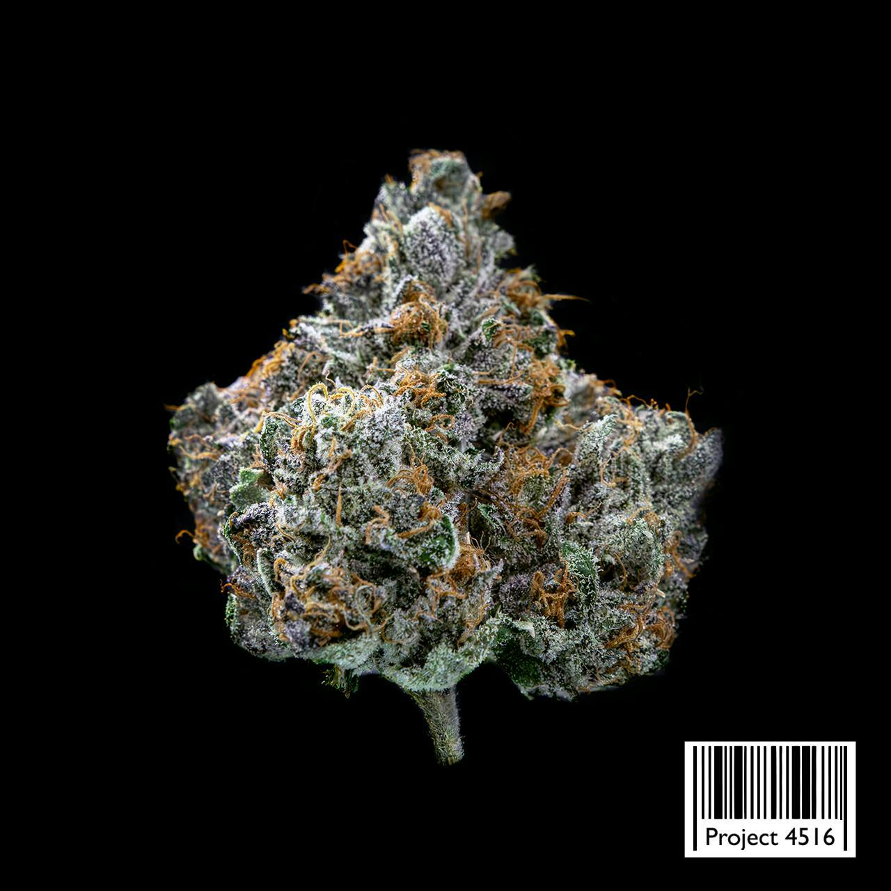 Society C - Society C | Project 4516 | Smalls | 28g - 1