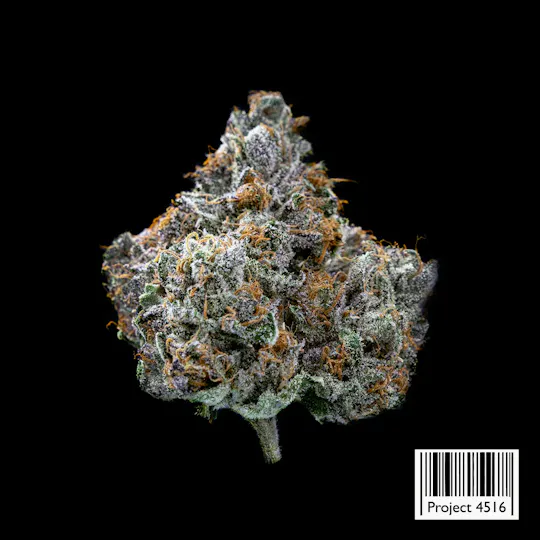 Society C - Society C | Project 4516 | Smalls | 28g - 1