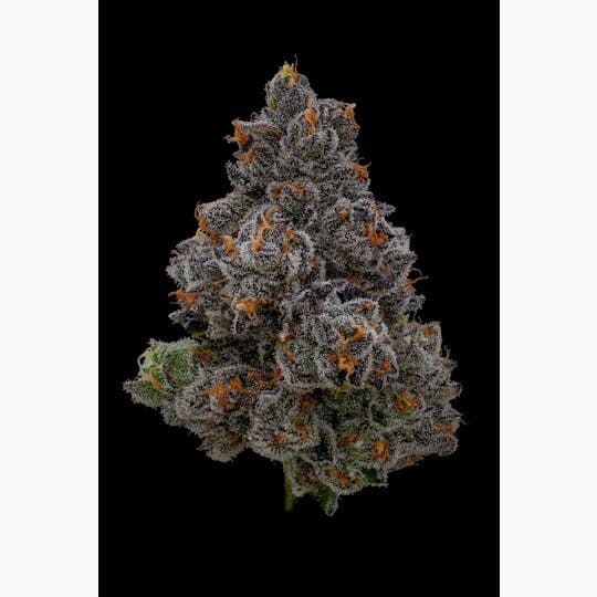 GOOD DAY FARM - GDF: Flower | Gaschata #01 | 28g - 1