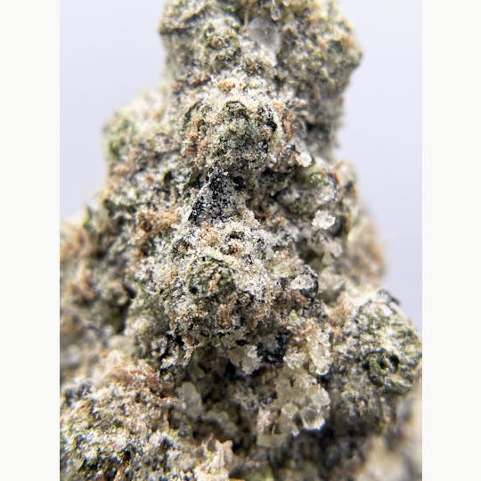 Twenty Two K / 22k - BLACK PEARL - Diamond Coated Indoor - Marshmallow OG - 3.5g | 1/8oz - 1