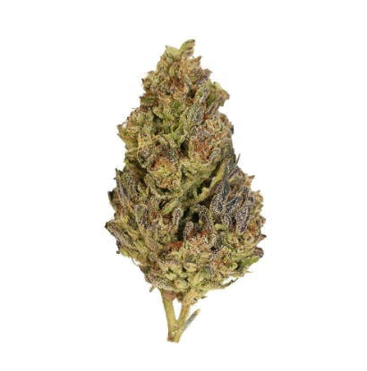 Smoakland - Smoakland Exotix | Grapes N Cream | Big Buds | 14g - 1