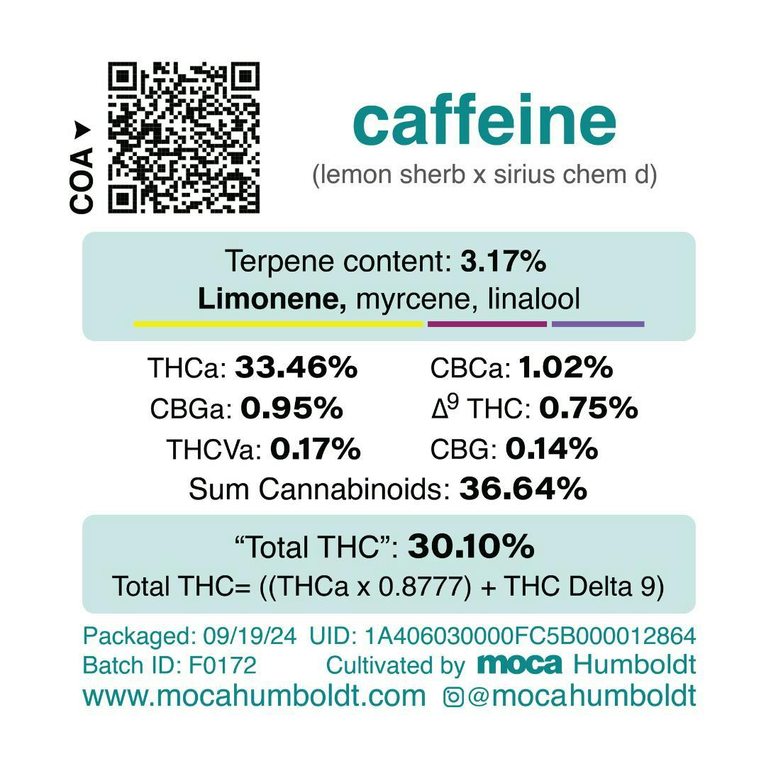 MOCA Humboldt - MOCA Flowers - 1/8th Jar - Caffeine - 1