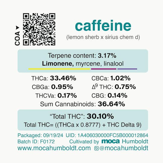 MOCA Humboldt - MOCA Flowers - 1/8th Mylar Bag - Caffeine - 1