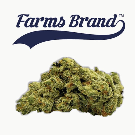 Farms Brand - Cali O 3.5g Jar - Farms Brand - 1