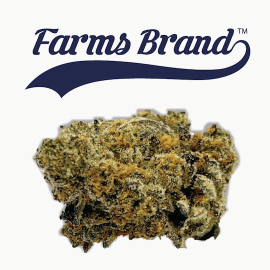 Farms Brand - Farms Brand Couchlock Cookies 3.5g Jar - 1