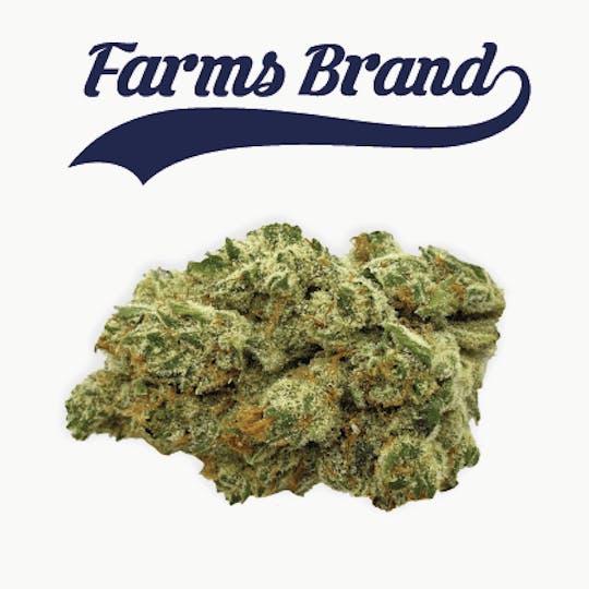 Farms Brand - Farms Brand Orange Tree 3.5g Jar - 1