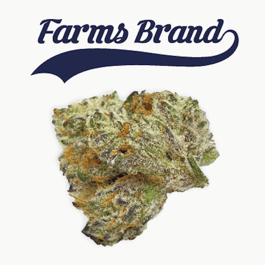 Farms Brand - Farms Brand Watermelon Punch 3.5g Jar - 1