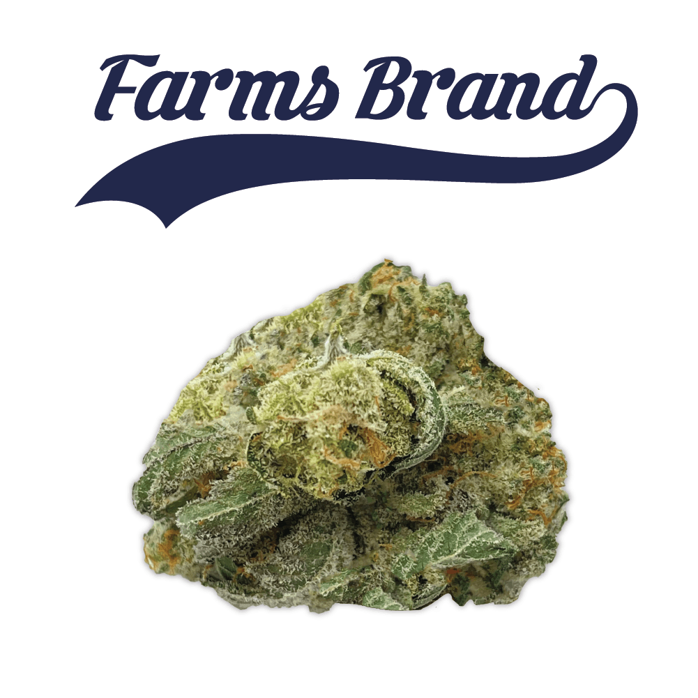 Farms Brand - Farms Brand Watermelon Punch 7g Jar - 1