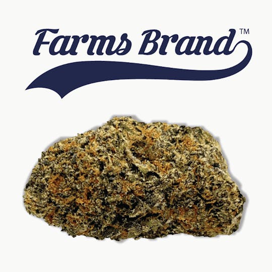 Farms Brand - Gelatti 3.5g Jar - Farms Brand - 1
