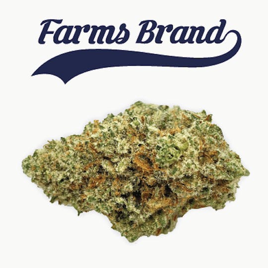 Farms Brand - Lemon Pound Cake 3.5g Jar - Farms Brand - 1