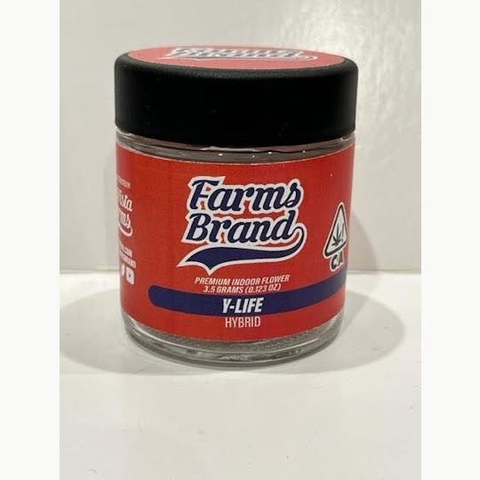 Farms Brand - Y-Life 3.5g Jar - Farms Brand - 1