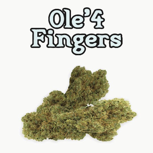 Ole'4 Fingers - Angel Berry 14g Bag - Ole' 4 Fingers - 1