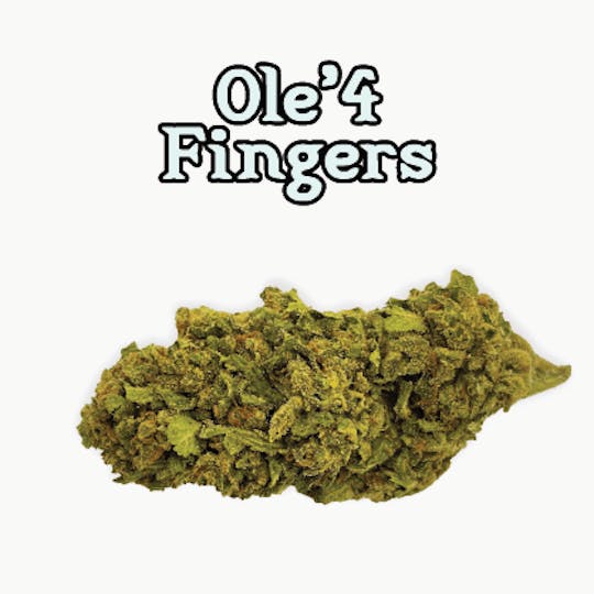 Ole'4 Fingers - Ole 4 Fingers XJ-13 3.5 Bag - 1