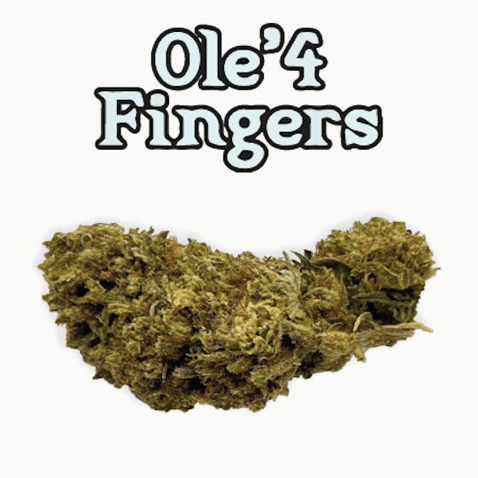Ole'4 Fingers - Paradise Citrus 3.5g Bag - Ole' 4 Fingers - 1