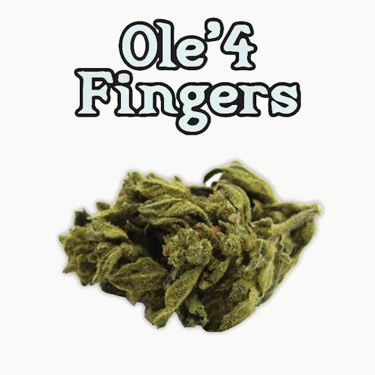 Ole'4 Fingers - TITS 14g Bag - Ole' 4 Fingers - 1