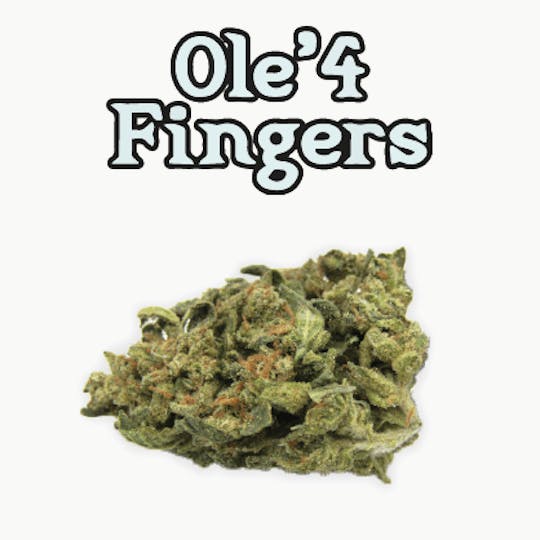 Ole'4 Fingers - Turk Kush 3.5g Bag - Ole' 4 Fingers - 1