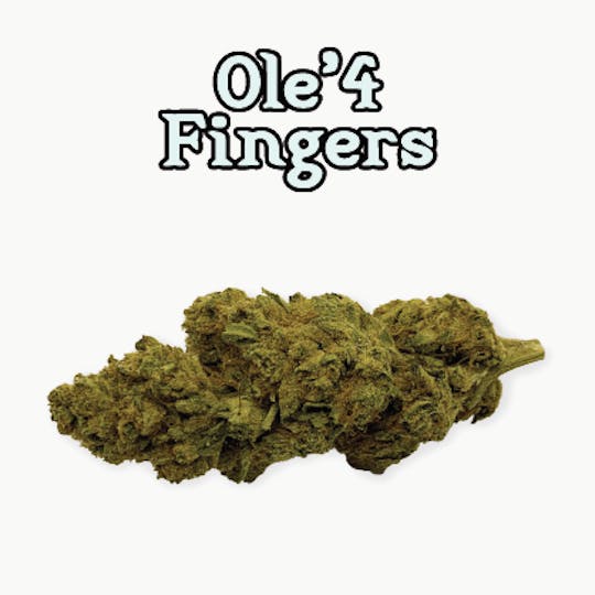 Ole'4 Fingers - Wedding Crasher 3.5g Jar - Ole 4 Reserve - 1