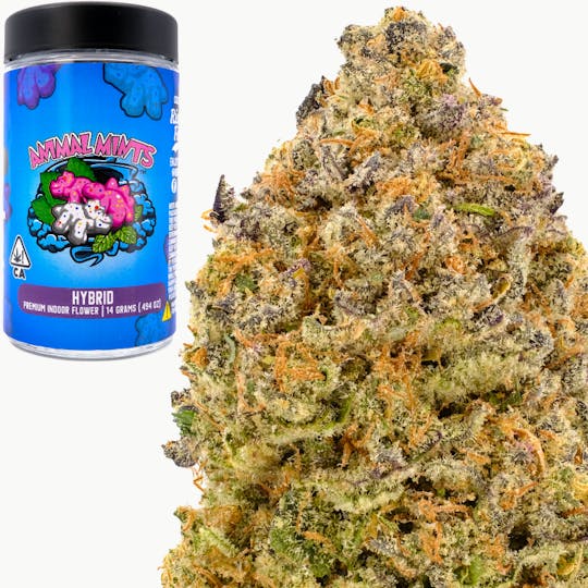 Rio Vista Farms - Brand - Animal Mints 14g Jar - Rio Vista Farms - 1