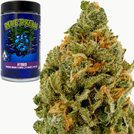 Rio Vista Farms - Brand - Blue Dream 14g Jar - Rio Vista Farms - 1