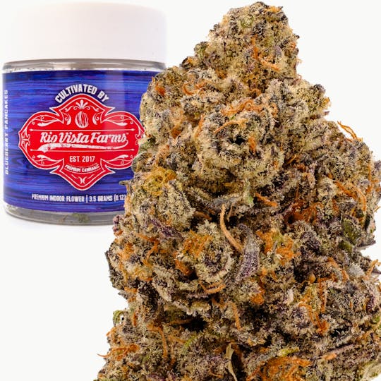 Rio Vista Farms - Brand - Blueberry Pancakes 3.5g Jar - Rio Vista Farms - 1