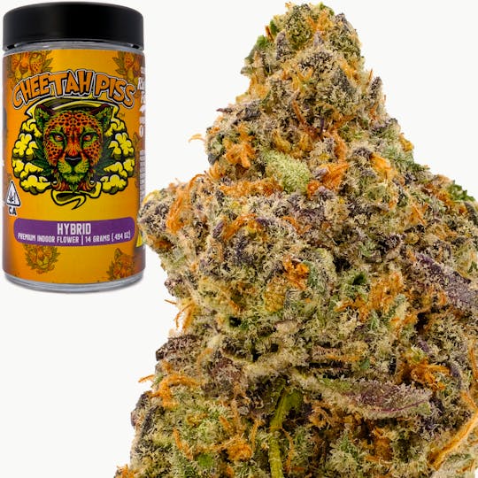 Rio Vista Farms - Brand - Cheetah Piss 14g Jar - Rio Vista Farms - 1
