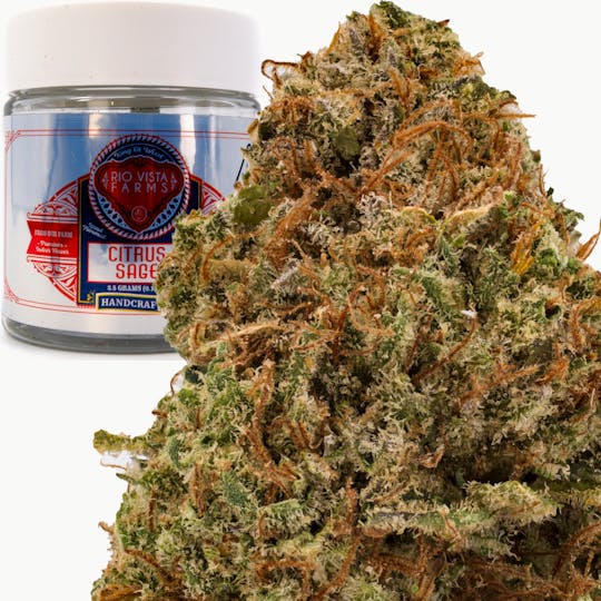 Rio Vista Farms - Brand - Citrus Sage 3.5g Jar - Rio Vista Farms - 1