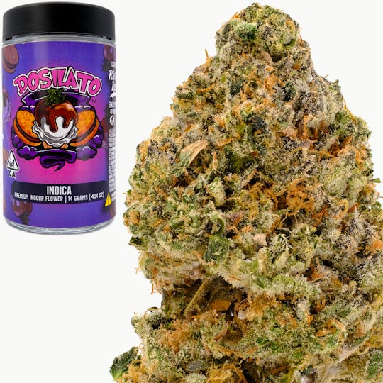 Rio Vista Farms - Brand - Dosilato 14g Jar - Rio Vista Farms - 1