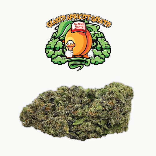 Rio Vista Farms - Brand - Glazed Apricot Gelato 3.5g Jar - Rio Vista Farms - 1