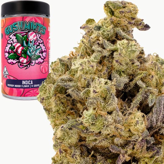 Rio Vista Farms - Brand - Gush Mints 14g Jar - Rio Vista Farms - 1
