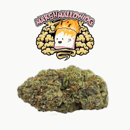 Rio Vista Farms - Brand - Marshmallow OG 3.5g Jar - Rio Vista Farms - 1