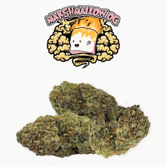 Rio Vista Farms - Brand - Marshmallow OG 7g Bag - Rio Vista Farms - 1