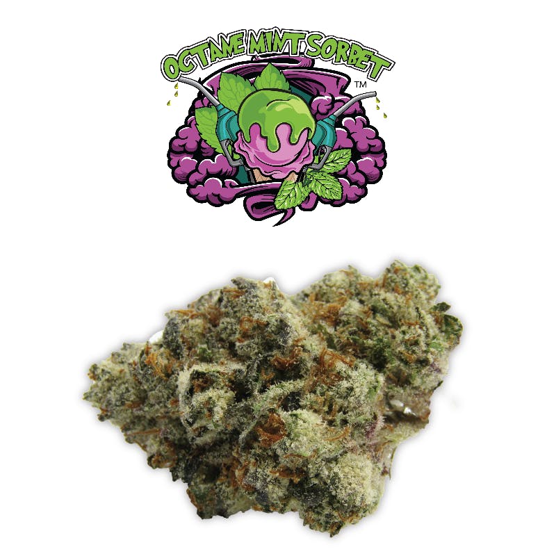 Rio Vista Farms - Brand - Octane Mint Sorbet 3.5 Jar- Rio Vista Farms - 1