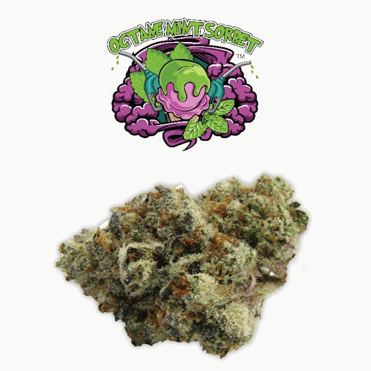 Rio Vista Farms - Brand - Octane Mint Sorbet 3.5 Jar- Rio Vista Farms - 1