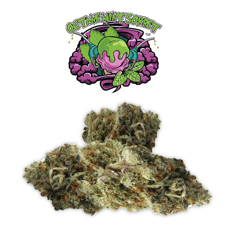 Rio Vista Farms - Brand - Octane Mint Sorbet 7g Bag - Rio Vista Farms - 1