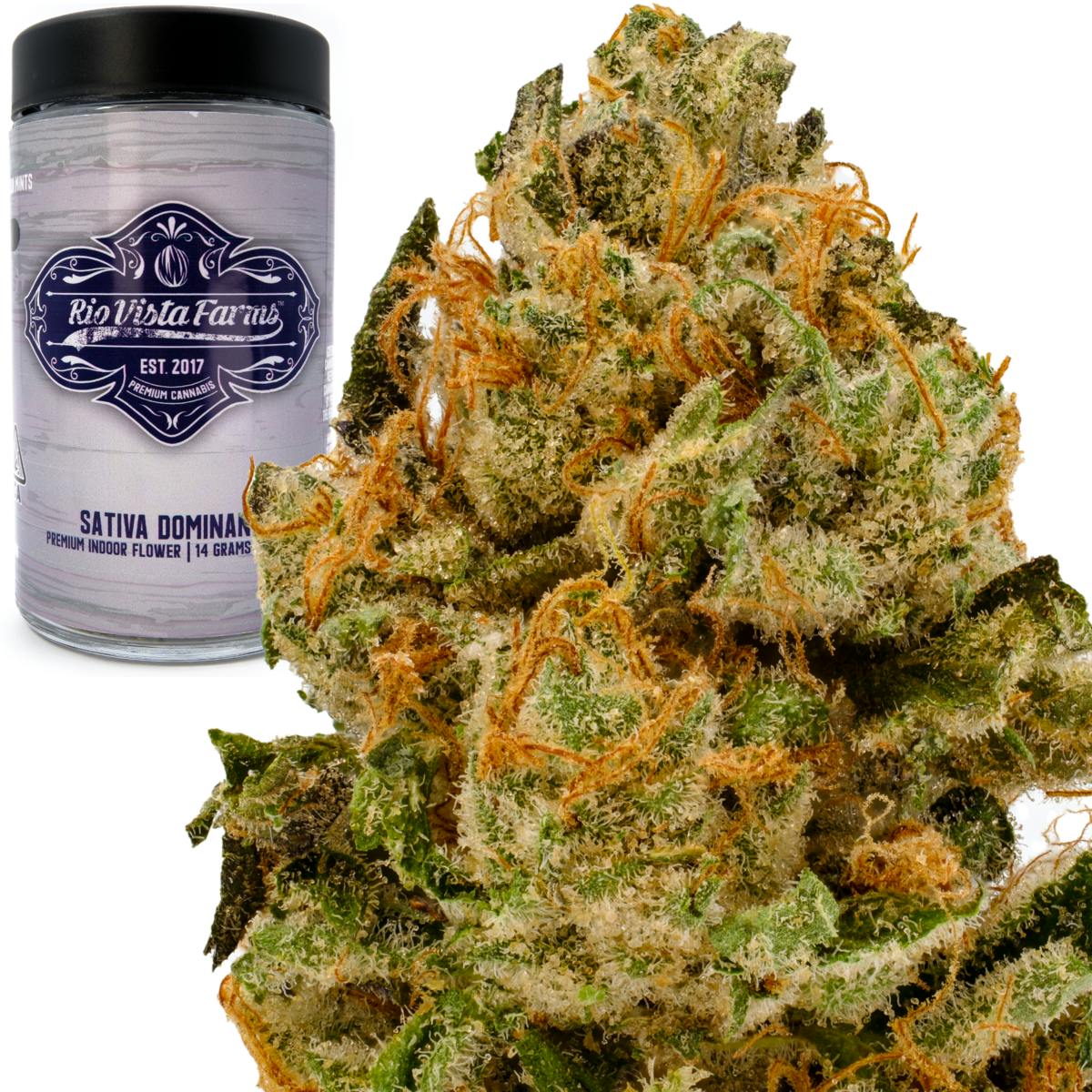 Rio Vista Farms - Brand - Pancakes 14g Jar - Rio Vista Farms - 1