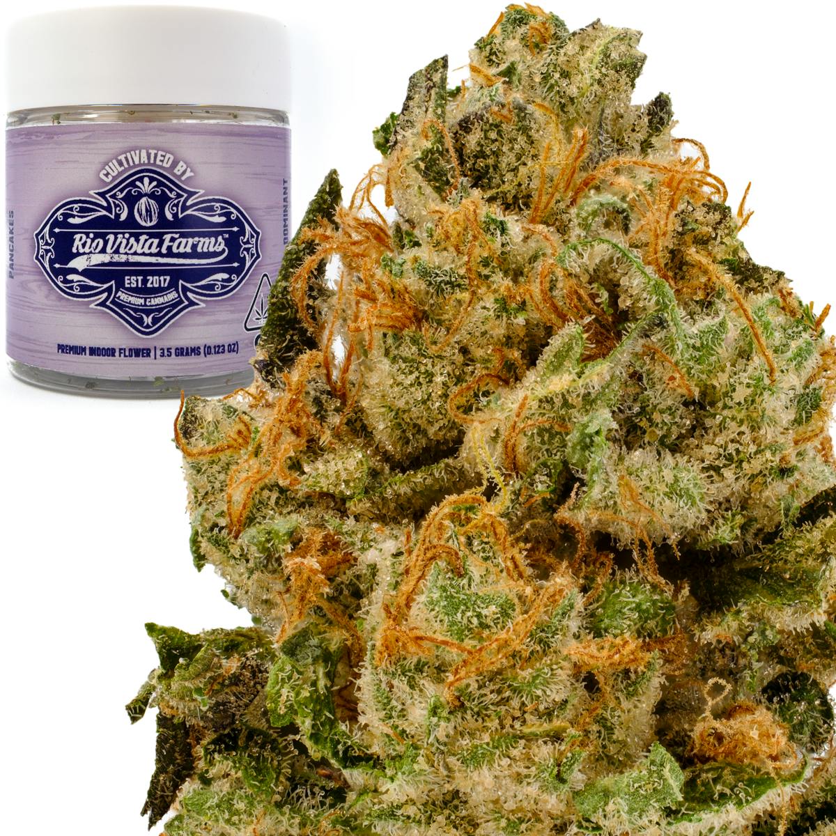 Rio Vista Farms - Brand - Pancakes 3.5g Jar - Rio Vista Farms - 1
