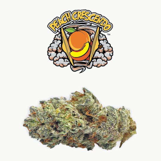 Rio Vista Farms - Brand - Peach Crescendo 3.5g Jar - Rio Vista Farms - 1
