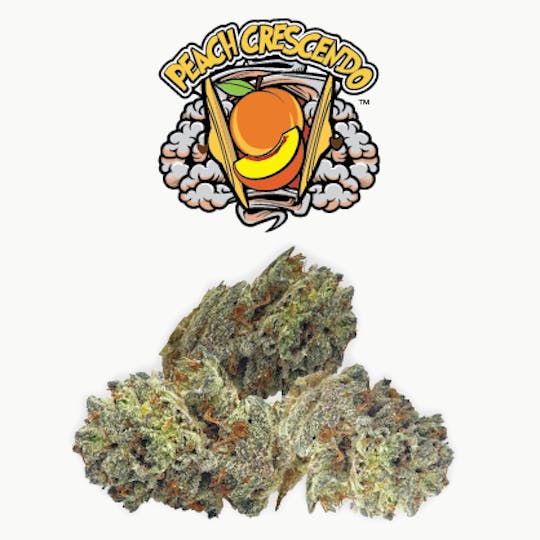 Rio Vista Farms - Brand - Peach Crescendo 7g Bag - Rio Vista Farms - 1