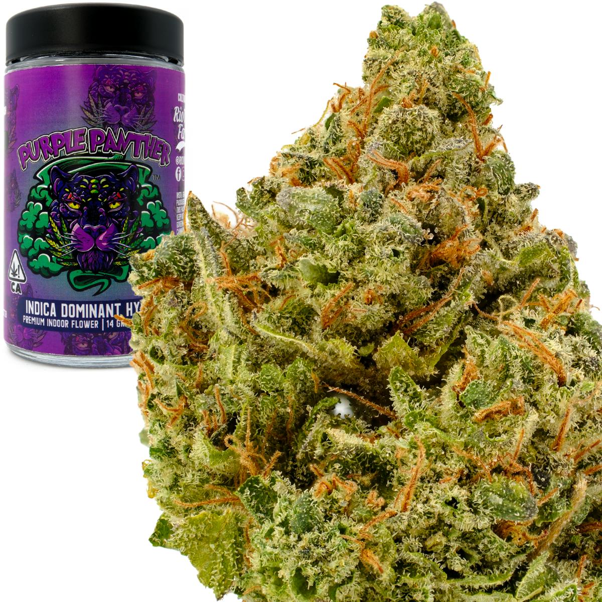 Rio Vista Farms - Brand - Purple Panther 14g Jar - Rio Vista Farms - 1