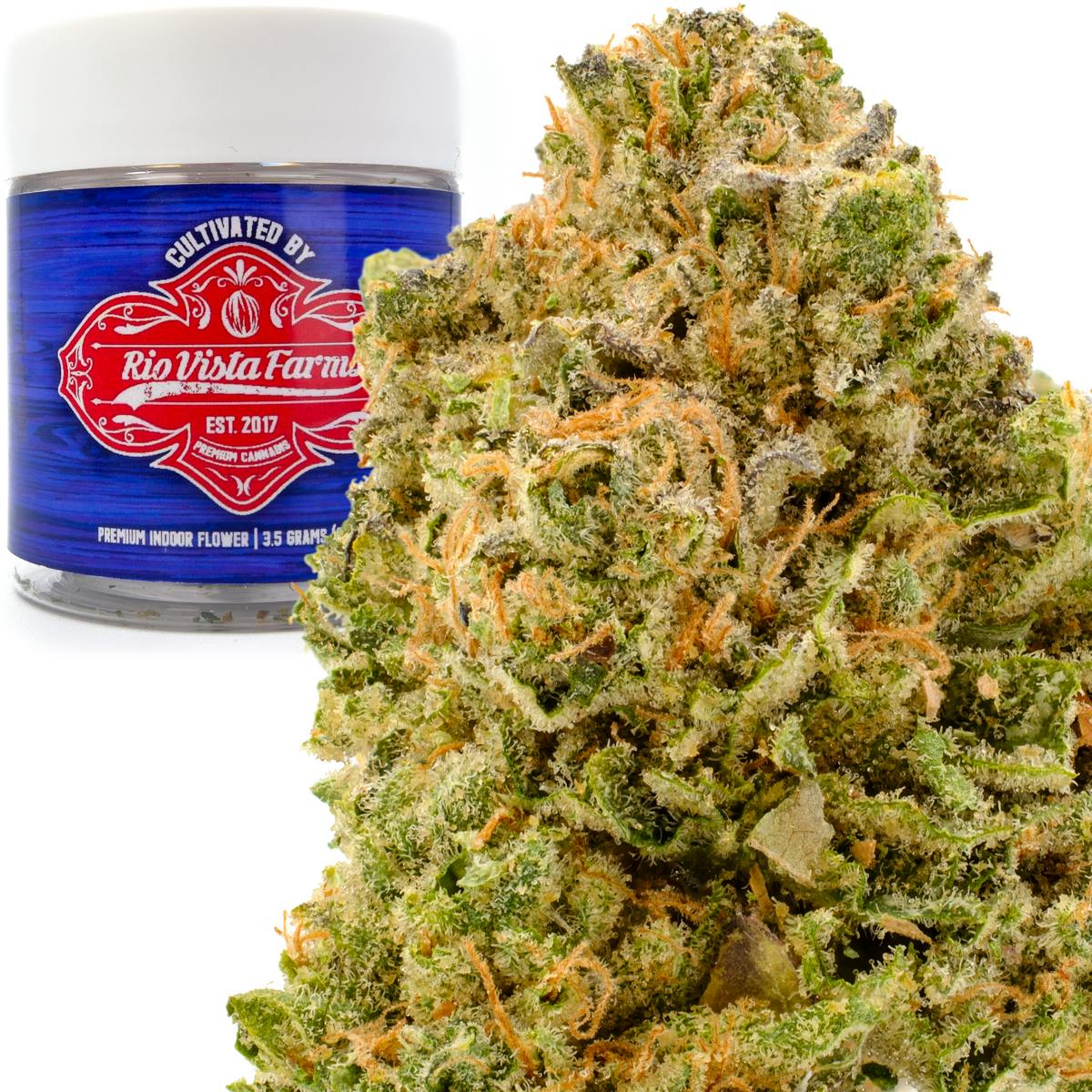 Rio Vista Farms - Brand - Rainbow Beltz 3.5g Jar - Rio Vista Farms - 1