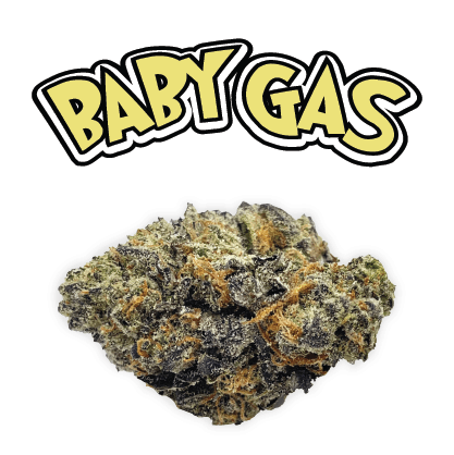 Rio Vista Farms - Brand - Rio Vista Farms Baby Gas 3.5g Jar - 1