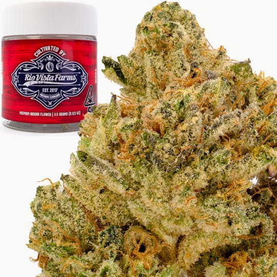 Rio Vista Farms - Brand - Wedding Cake 3.5g Jar - Rio Vista Farms - 1