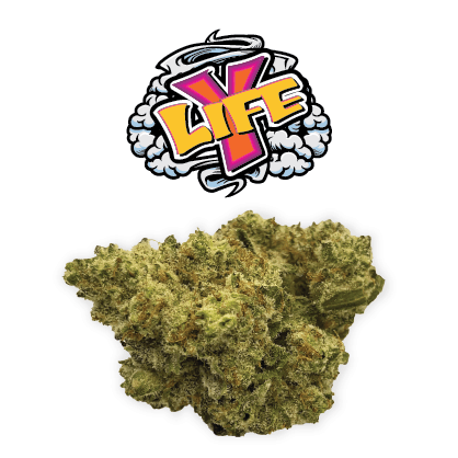 Rio Vista Farms - Brand - Y-Life 3.5g Jar - Rio Vista Farms - 1