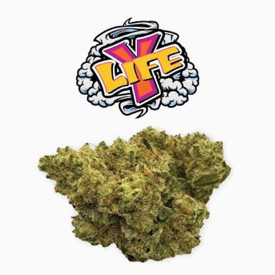 Rio Vista Farms - Brand - Y-Life 3.5g Jar - Rio Vista Farms - 1