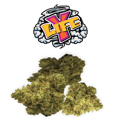 Rio Vista Farms - Brand - Y-Life 7g Bag - Rio Vista Farms - 1