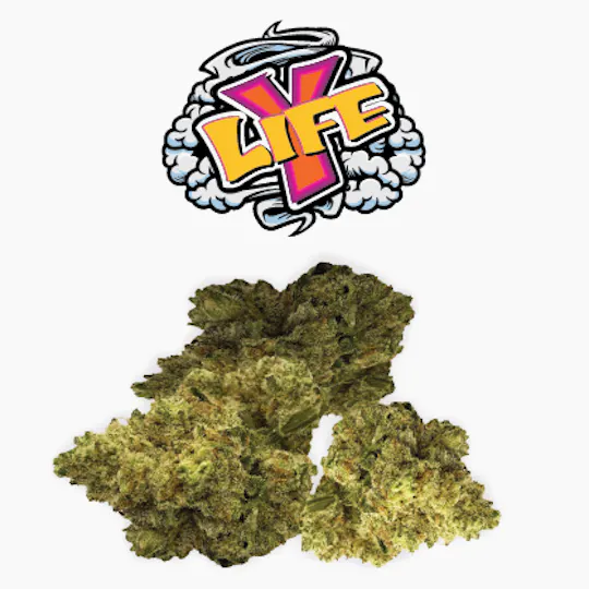 Rio Vista Farms - Brand - Y-Life 7g Bag - Rio Vista Farms - 1