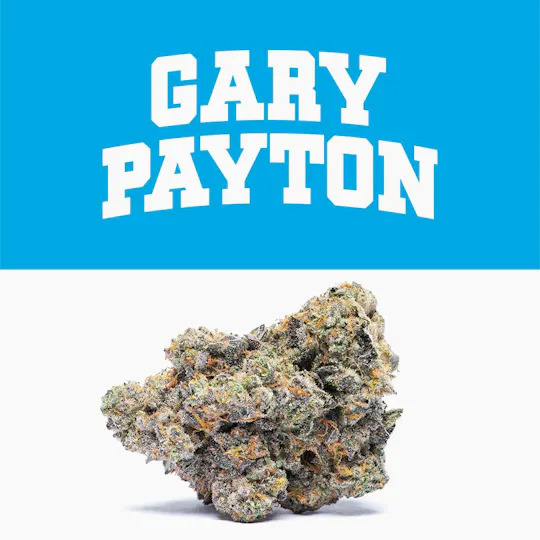 Cookies - Cookies | Gary Payton | Big Buds Baggie | 3.5g - 1